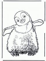 Free Printable Penguin Coloring Pages For Kids sketch template