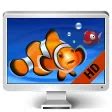 Desktop Aquarium - Relaxing live wallpaper background for Mac - Download