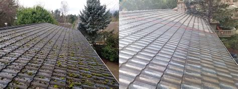 Roof Moss Removal - Roof Care - Salem Oregon