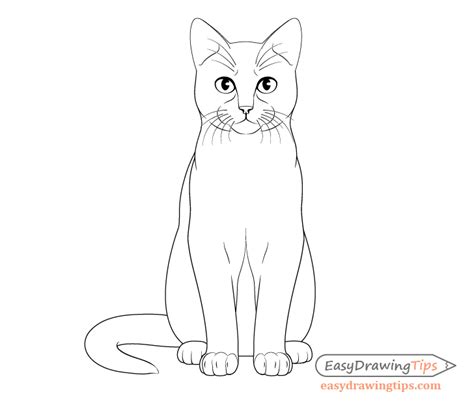 How to Draw a Cat Sitting - Jackson Frosuld