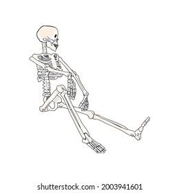 881 Cartoons Skeleton Sitting Images, Stock Photos & Vectors | Shutterstock