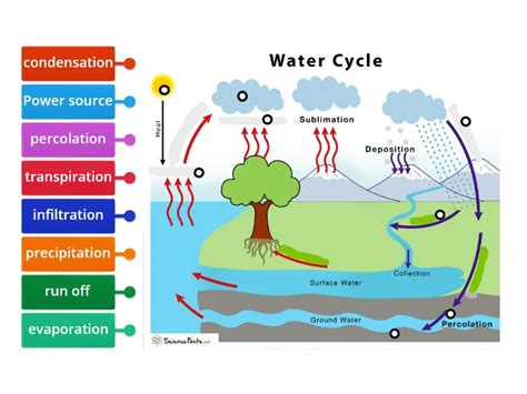 Water Cycle Diagram - Labelled diagram