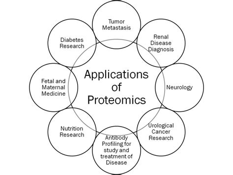 Proteomics: Introduction, Methods, Types and Application