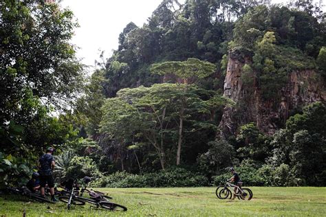 Bukit Timah Nature Reserve: Mountain-bike trail guide