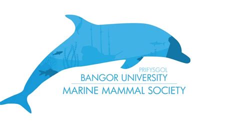 Bangor University Marine Mammal Conference - SponsorMyEvent