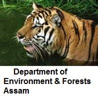 Assam Forest Department Recruitment 2014 Notification for 941 Various ...