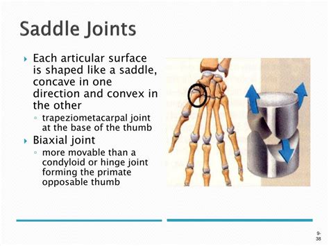 PPT - Definition of Joint PowerPoint Presentation, free download - ID:388892