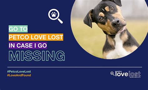 Lost Pets - LifeLine Animal Project | Tips to Find Your Lost Pet