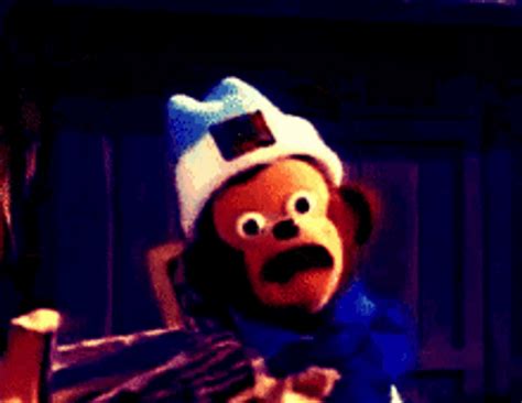 Shocked Monkey GIF Shocked Monkey Discover Share GIFs, 43% OFF