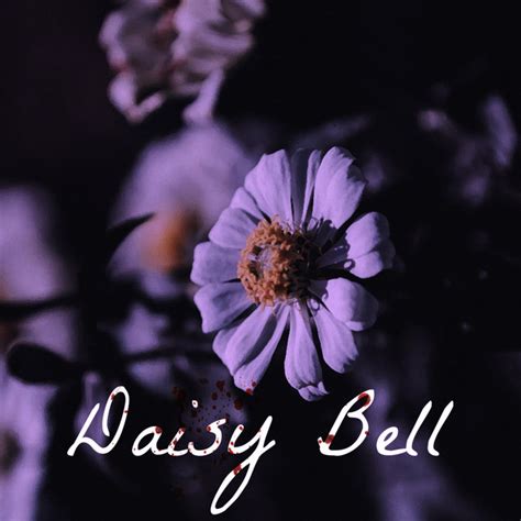 BPM and key for Daisy Bell by Madame Macabre | Tempo for Daisy Bell | SongBPM | songbpm.com