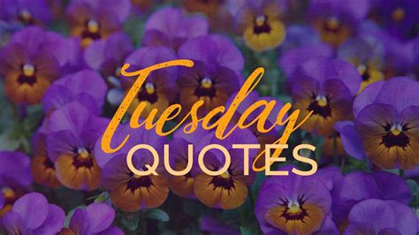 150 Tuesday Quotes to Inspire Laughs and Love | LouiseM