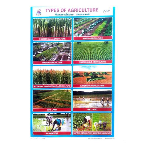 Type Of Agriculture School Project Chart Stickers - Clickere