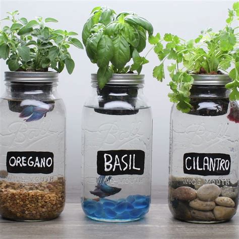 10 DIY Aquaponics Ideas To Get Started Right Now - Gardening Heavn