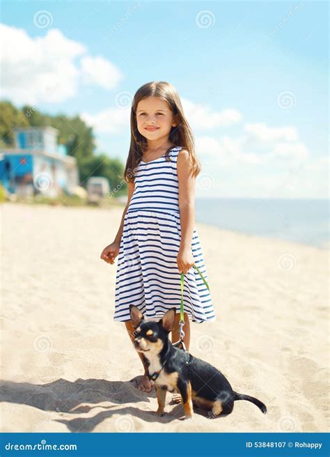 Little Smiling Girl Walking with Dog on the Beach Stock Image - Image of pretty, animal: 53848107