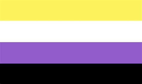 non binary (enby) pride flag en 2022