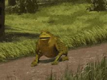 Fionna Shrek GIF – Fionna Shrek Blow Frog – discover and share GIFs