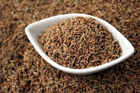 Anise | Description, Plant, Spice, Flavor, & Uses | Britannica