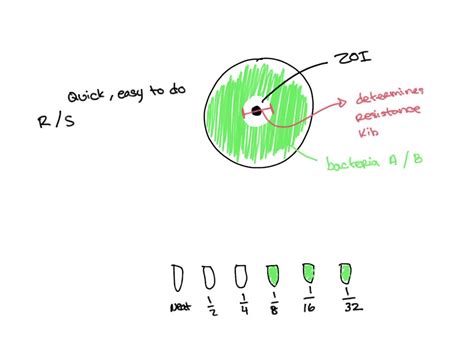 SOLVED: Compare and contrast the advantages and disadvantages of using ...