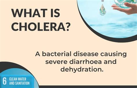 Cholera Outbreak Campaign | United Nations in South Africa