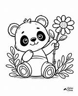 29 Free Cute Panda Coloring Pages – The Color Cove sketch template