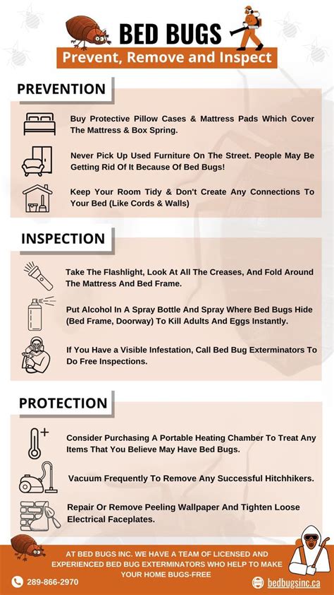 How to Prevent, Eliminate and Inspect Bed Bugs | Bed bugs, Bed bugs prevention, Bed bug control