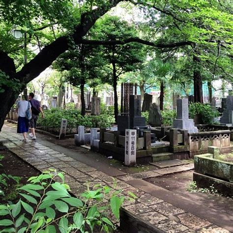 Yanaka Cemetery | Japan Experience