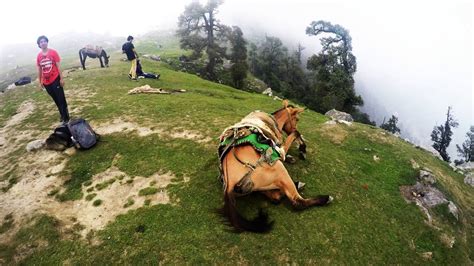 Riding Through Dharamshala - Trekking from McLeodganj to Triund - YouTube