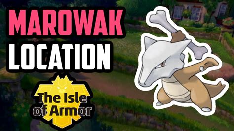 How to Catch Marowak - Pokemon Sword & Shield (DLC) - YouTube