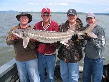 Sturgeon fishing on the Columbia River