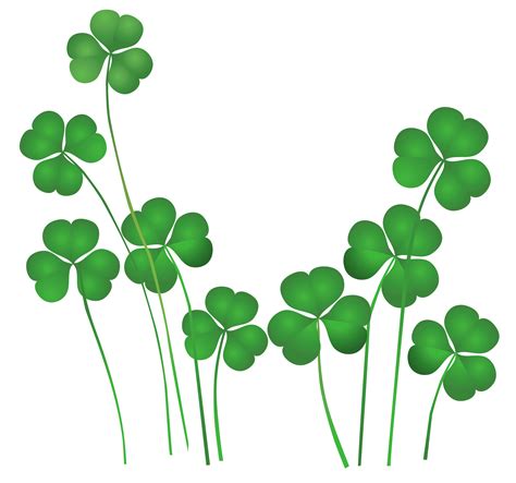 Shamrock PNG