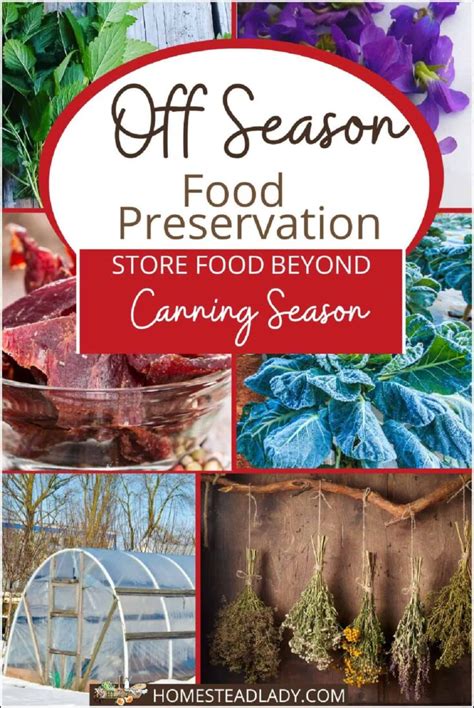 Off Season Food Preservation • Homestead Lady