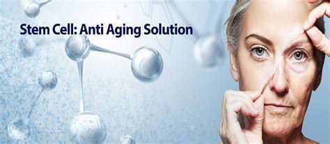 Anti-aging using stem cell therapy | Mediland - leading stem cell clinic