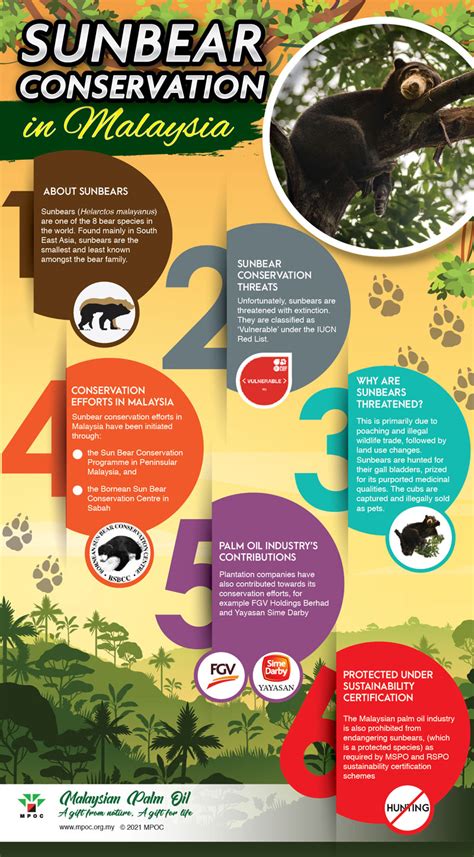 Sunbear Conservation in Malaysia – MPOC