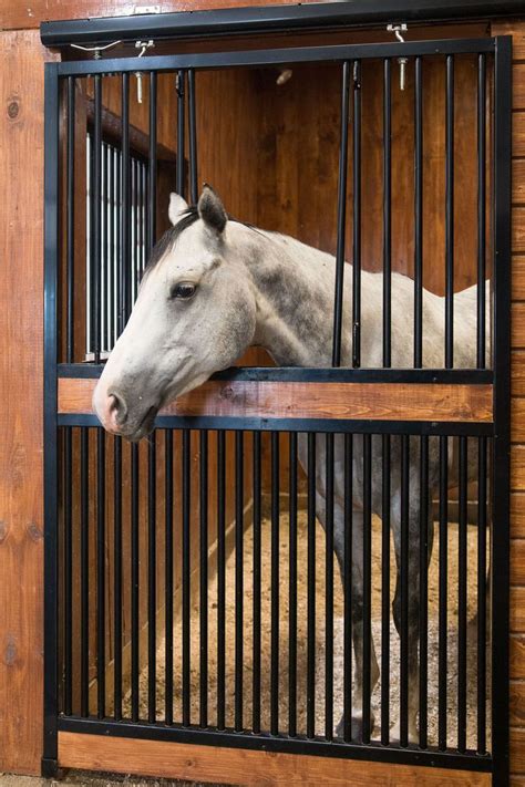 Choose a Stall Door that Fits Your Horse's Personality Best! | Horse stalls, Horses, Easy horse ...