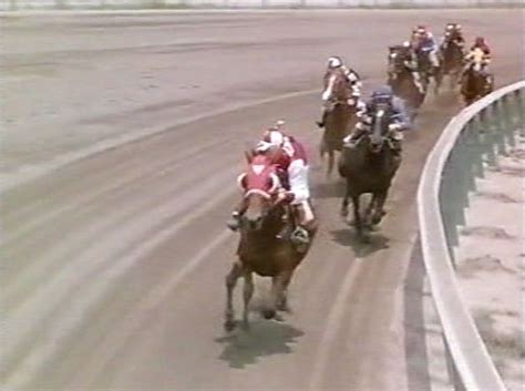 Another Old Movie Blog: Seabiscuit (2003) & The Story of Seabiscuit (1949)