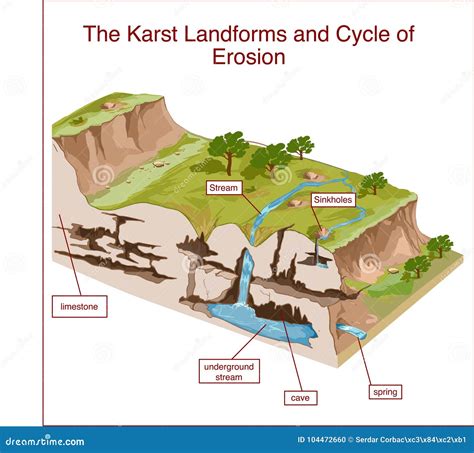 Les Formes De Relief De Karst Et Le Cycle De L'érosion Illustration de ...