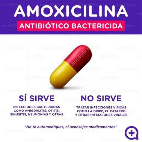 Amoxicilina, ¿cuándo y cómo tomarla? - mediQuo