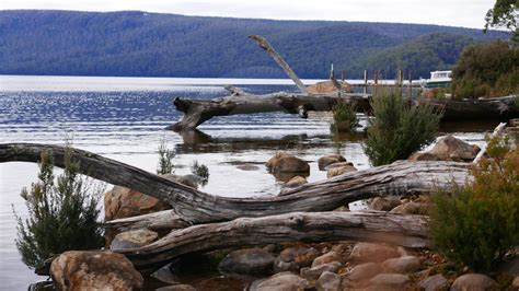 Lake St Clair Camping Free Cradle Mountain National Park Overland Track ...