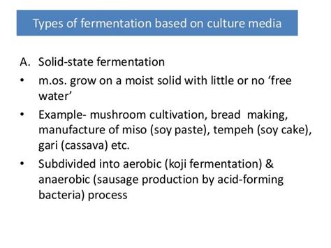 Types of Food Fermentation