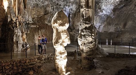 Postojna Cave » Postojna Cave Park - Welcome to the official website