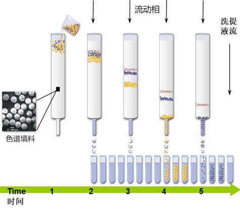色谱分离技术--（1） - 知乎