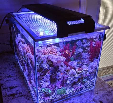 Tutorial: Make a DIY Screen Top for Your Aquarium - Bulk Reef Supply