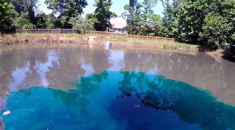 All You Need to Know About Pond Dyes at Smith Creek Lake and Pond