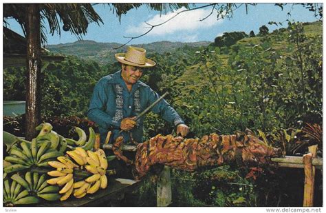 Nuestro Jíbaro Guardianes De La Tierra. Lechon, Fusion Food, Puerto Ricans, Barbacoa, Bbq ...