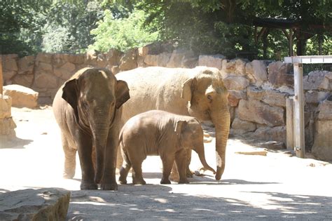 Zoo Osnabrück zum halben Preis besuchen - Zoo Osnabrück