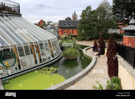 Norwich Castle Museum And Art Gallery High Resolution Stock Photography and Images - Alamy