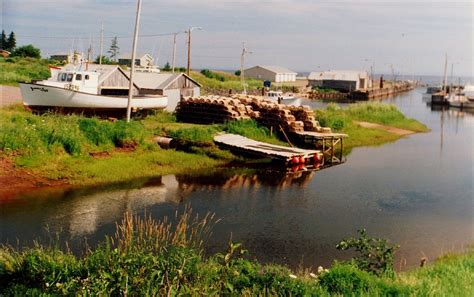 south shore, Nova Scotia, july 1996a | Nova scotia, Scotia, Yukon territory