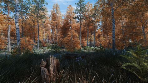 Skyrim’s forests are glorious with this mod that adds “over 100” meshes