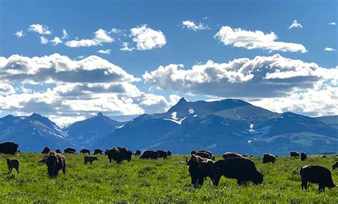 Western Montana Wildland Fire and Smoke Update | The Official Western ...