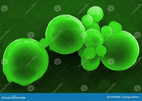 Numerous Ni nanoparticles stock photo. Image of education - 87690588